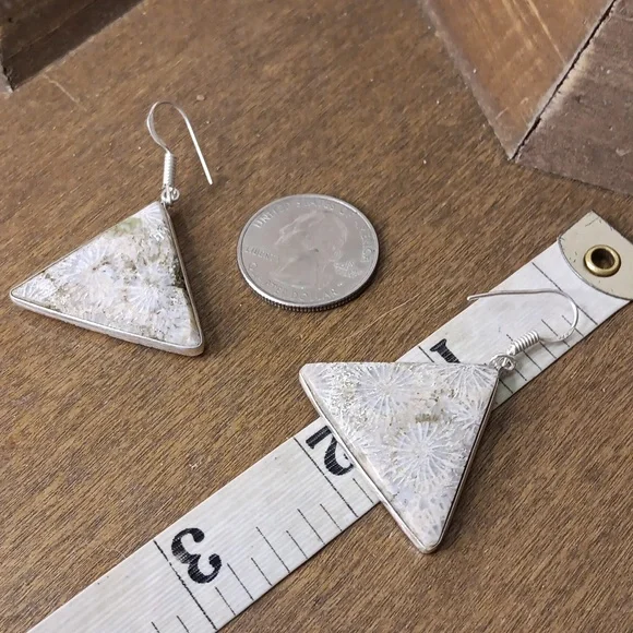 Fossil Coral gemstone earrings - Picture 2 of 4